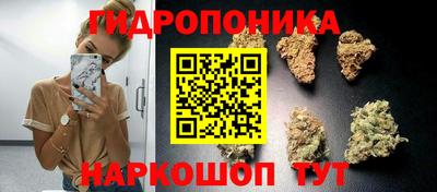 эйфоретик Бугуруслан