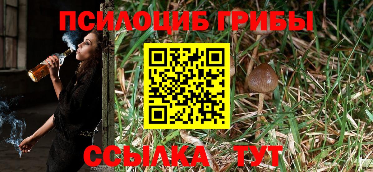 Галлюциногенные грибы Cubensis  Галлюциногенные грибы Magic Shrooms  Вход с VPN  Луга 