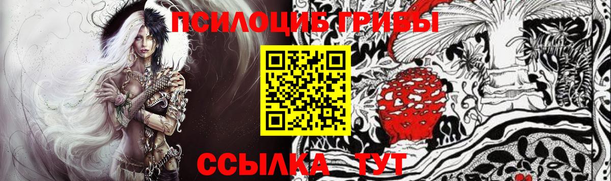 Псилоцибиновые грибы прущие грибы Луга